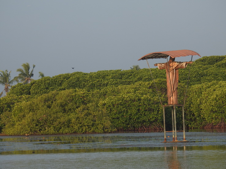 Negombo Boatsafari Mangrove Holy Man with Roof
