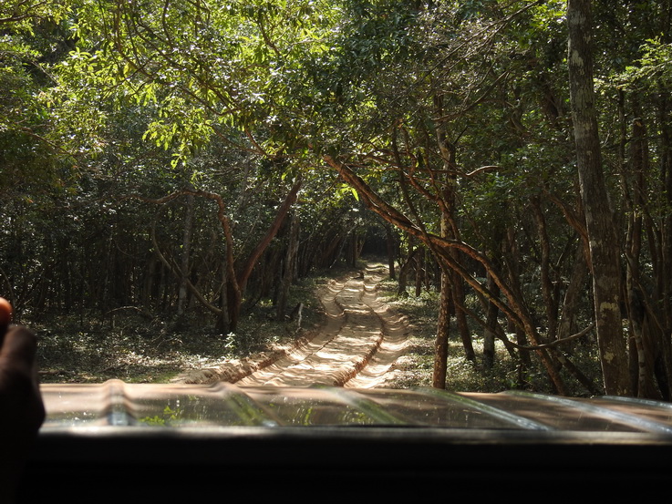 Wilpattu National Park Camp Kulu Safaris Leopard 