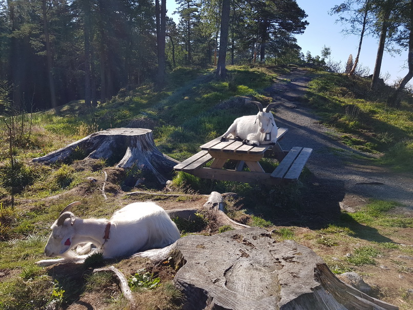 Bergen Bergen Hausberg Fløyen Talstation Fløi-Bahn