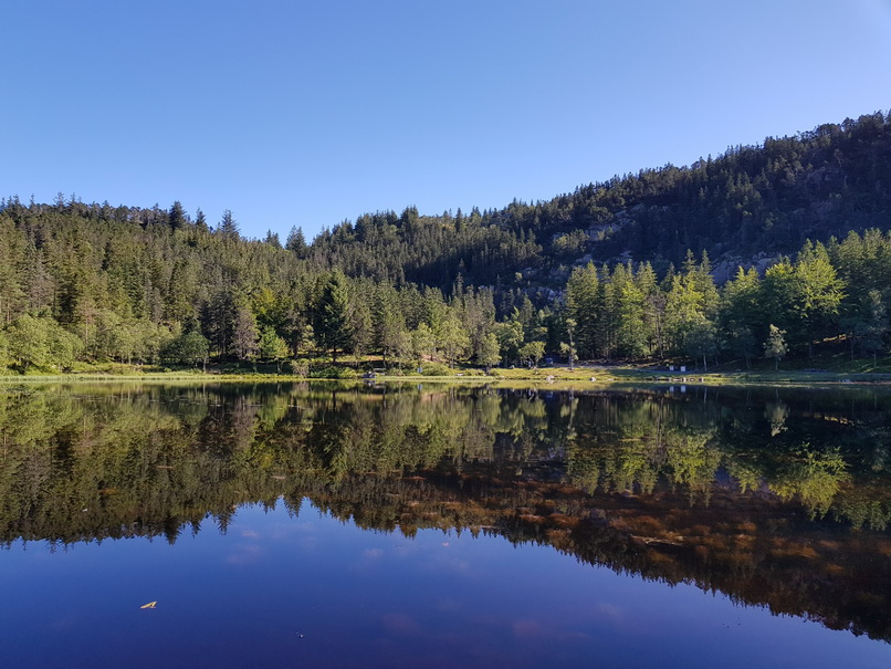 Bergziegen  Bergen Bergen Hausberg Fløyen Talstation Fløi-BahnBergen Ziege auf Tisch    