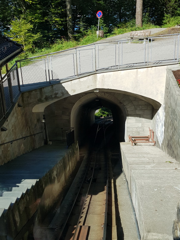 Bergziegen  Bergen Bergen Hausberg Fløyen Talstation Fløi-BahnBergen Ziege auf Tisch    