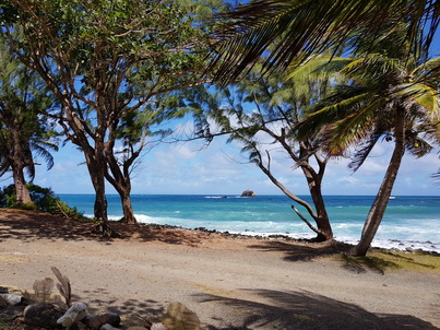    St. Lucia Pigeon Island  St. Lucia Gros Islet    St. Lucia St. Lucia Santa Lucia