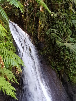   Guadelope Krebswasserfall Cascade aux Ecrevisses Guadelope Krebswasserfall Cascade aux Ecrevisses