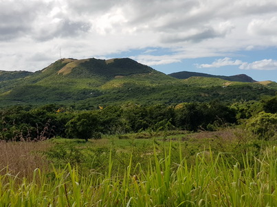   Antigua St.Johns Jeepsafari  Turner's Beach  Ananasfarm Claremont Ananas Black Ananas Antigua St.Johns Antigua St.Johns Jeepsafari  Turner's Beach  Ananasfarm Claremont Ananas Black Ananas 