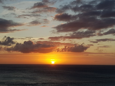   Aruba Sundowner Aruba Sundowner 