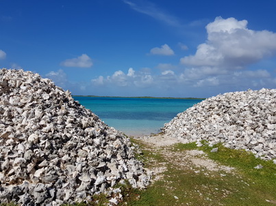 Bonaire Conch Berge MuschelbergeBonaire Bonaire Conch Berge Muschelberge  