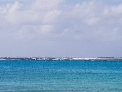   Bonaire Schnorcheln mit MeeresschildkröteBonaire Schnorcheln mit Meeresschildkröten