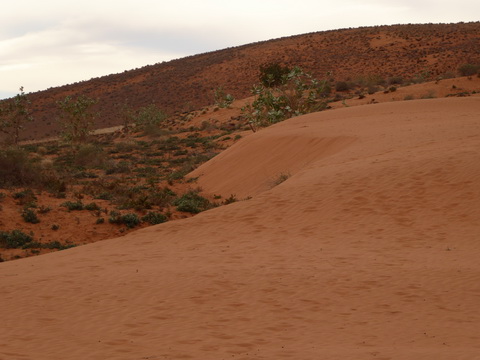  Marokko Agadir Rasbouka Duenen Atlasgebirge (2531 m) im Südwesten Marokkos Antiatlas