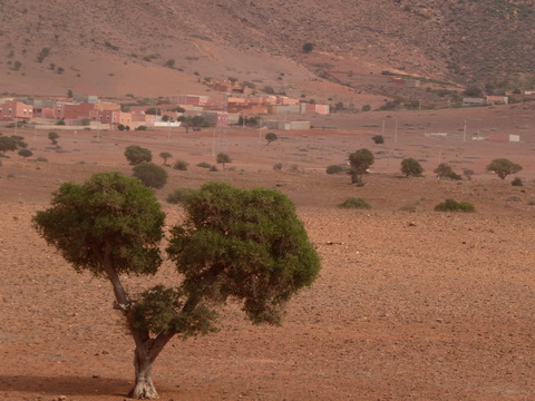  Marokko Agadir Rasbouka Duenen Atlasgebirge (2531 m) im Südwesten Marokkos Antiatlas