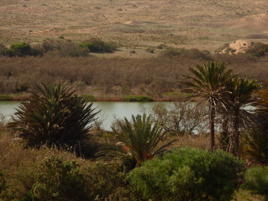  Marokko Agadir Souss Masaa Nationalpark Chtouka Ait Baha Province,سيدي وساي,Marokko