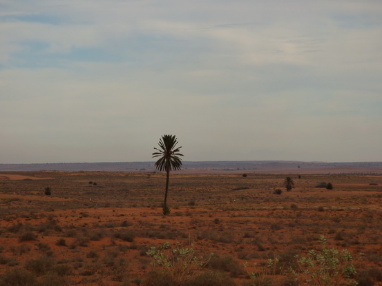  Marokko Agadir Rasbouka Duenen  Chtouka Ait Baha Province,سيدي وساي,Marokko