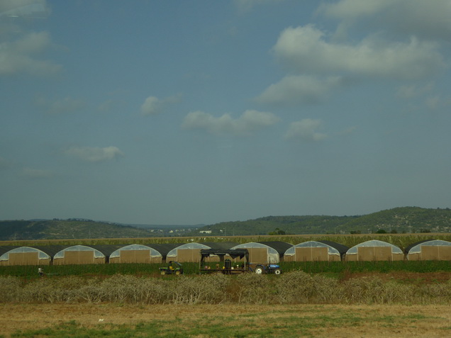 Haifa Hafenstadt Landwirtschaft Kibbuz  