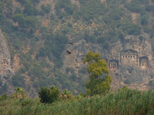 Dalyan Schlammbad  Felsengräber  Marmaris  Dalyan  Bootstour Dalyan 