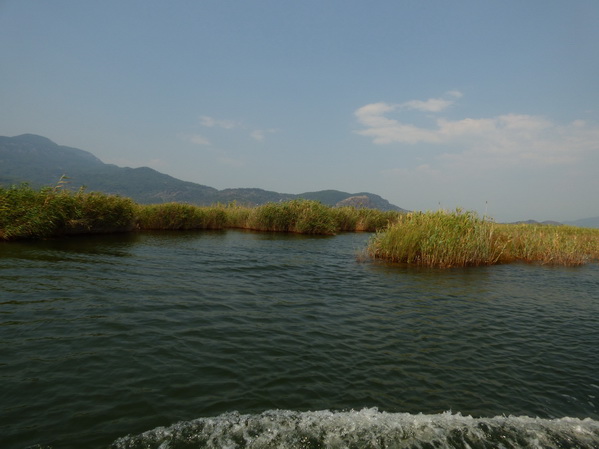 Dalyan Schlammbad  Felsengräber  Marmaris  Dalyan  Bootstour Dalyan 