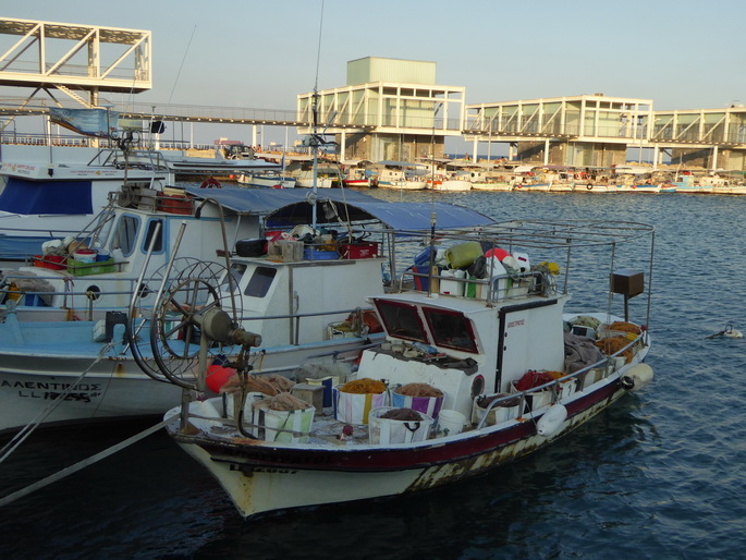   Zypern Limassol Hafen Zypern Limassol Hafenpromenade Corniche 