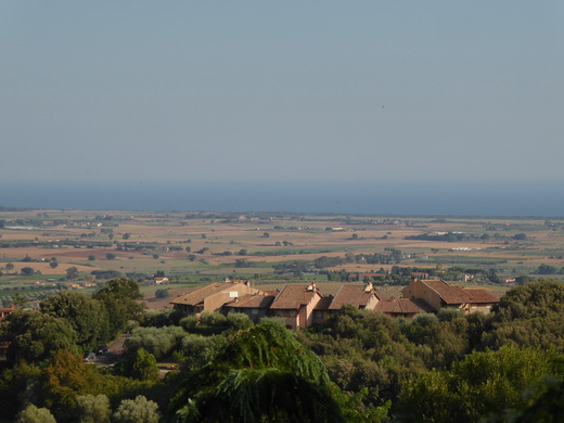 Rom Civitaveccia Capalbio Vinsanto  