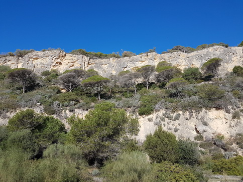   La Brena Wanderung  Spanien Cadiz Atlantic La Brena Wanderung 