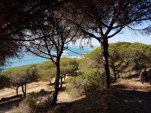   La Brena Wanderung  Spanien Cadiz Atlantic La Brena Wanderung 