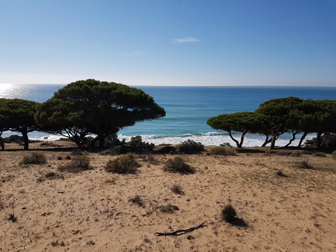   La Brena Wanderung  Spanien Cadiz Atlantic La Brena Wanderung 