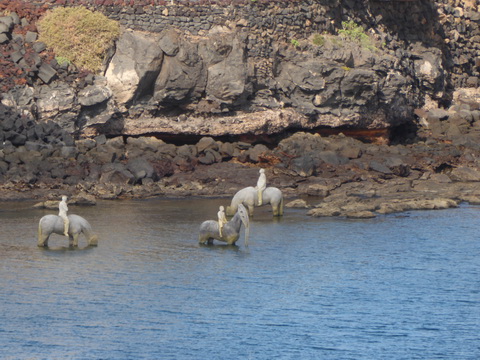 Museo Antlantic  Unterwassermuseum    www.cactlanzarote.com 230 Skulpturen vor Lanzarote Jason de Caires Taylor 