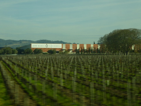 LJose Maria da Fonseca Portwein in Azeitáo