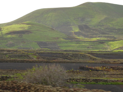 Lanzarote Caesar Manrique