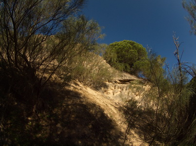   Spanien Cadiz Atlantic La Brena Wanderung BarbateLa Brena Wanderung Los Caños de Meca, dem letzten Hippiedorf