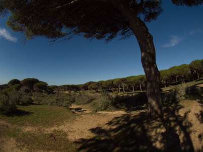 La Brena Wanderung Los Caños de Meca, dem letzten Hippiedorf