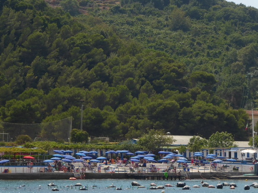 La Spezia 5 Terre Insel Palmaria portovenere 