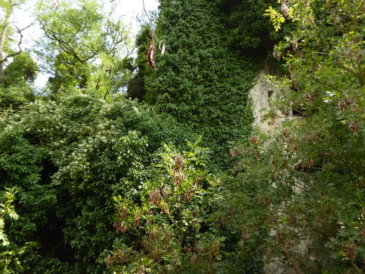 La Spezia 5 Terre Insel Palmaria portovenere altes Fort 