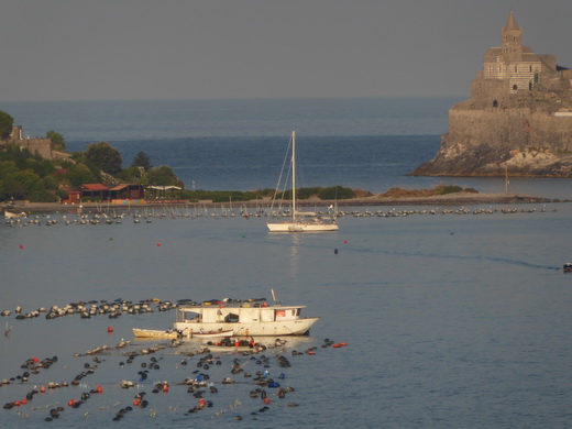 La Spezia 5 Terre Insel Palmaria portovenere 