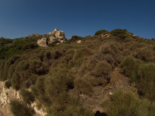 Olbia Sardinien Capo Testa Fish Eye