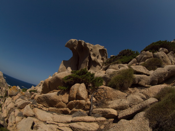 Olbia Sardinien Capo Testa Fish Eye