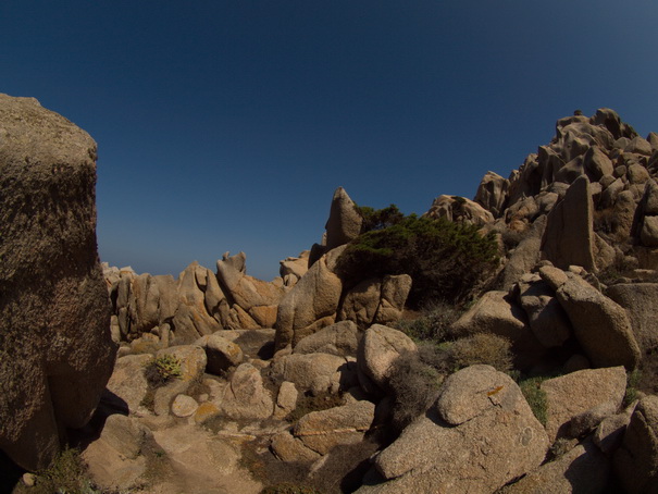 Olbia Sardinien Capo Testa Fish Eye