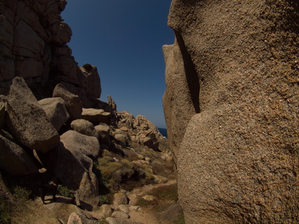 Olbia Sardinien Capo Testa Fish Eye