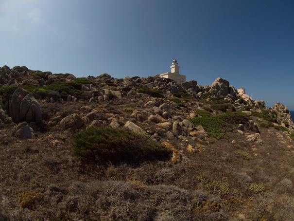 Olbia Sardinien Capo Testa Fish Eye