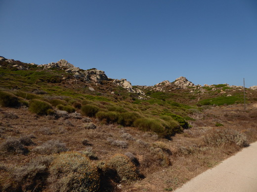   Olbia Sardinien Capo Testa Olbia Sardinien Capo Testa 