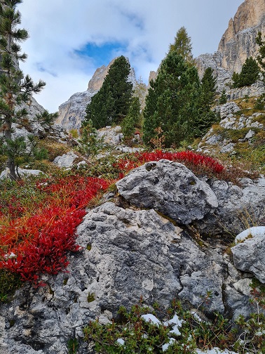 Dolomiten mit Schneezucker