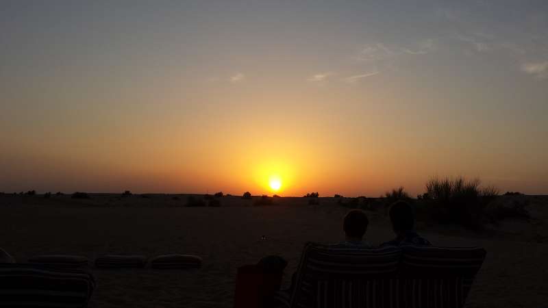   Dubai Sunset Tour Kamele Falken SundownerDubai Sunset Tour Kamele Falken Sundowner