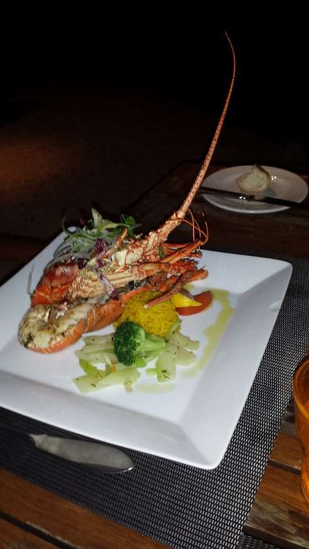 Mauritius Speisen  Le Victoria Beachcomber Hotel MauritiusMauritius Fisch Lobster  Le Victoria Beachcomber Hotel Mauritius