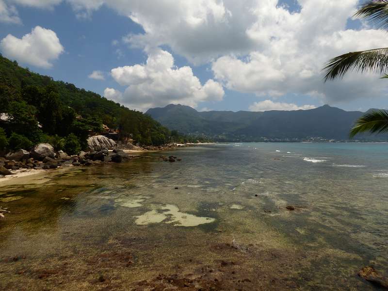 Hilton Northolme Seychelles Heron 