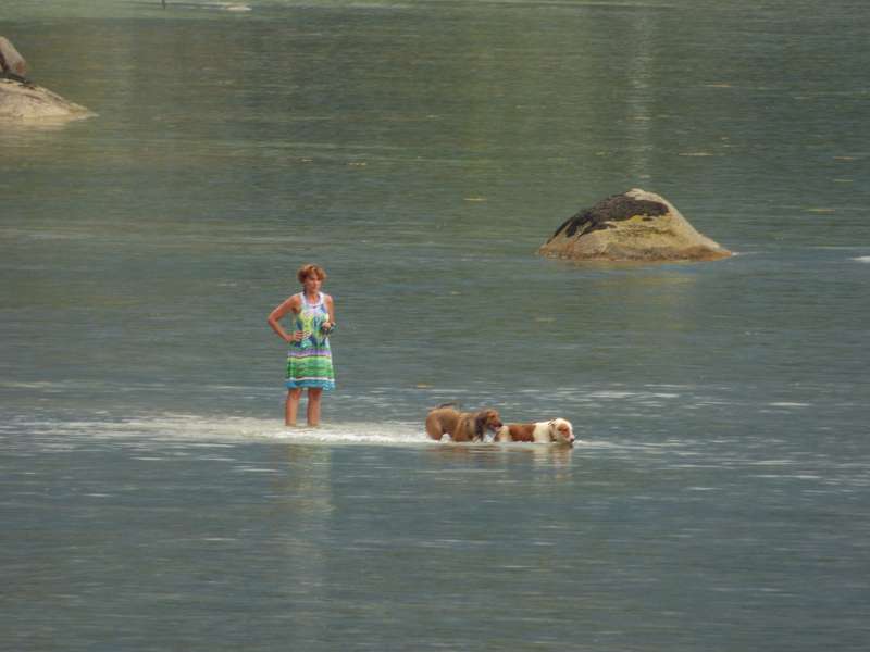 Hilton Northolme Seychelles Hunde Gassischwimmen