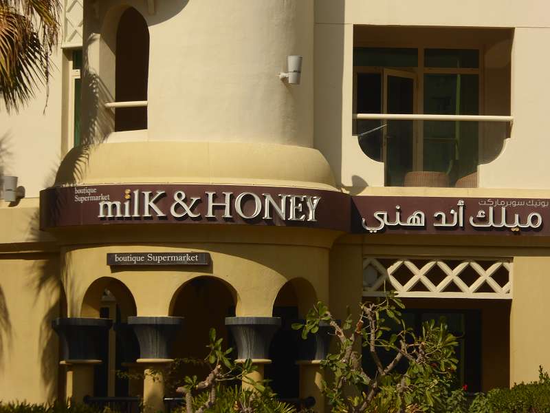 Dubai  CityTour Dubai Milk and Honey
