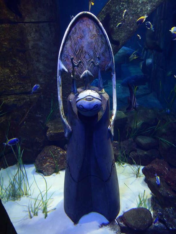   Atlantis The Palm Lost Chambers Aquarium Lost Chambers Aquarium  Atlantis The Palm 