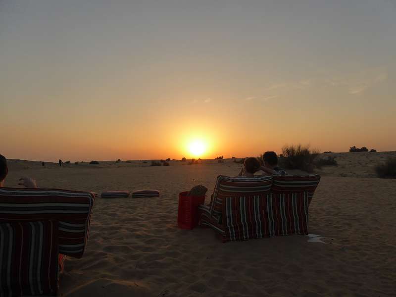   Dubai Sunset Tour Kamele Falken SundownerDubai Sunset Tour Kamele Falken Sundowner