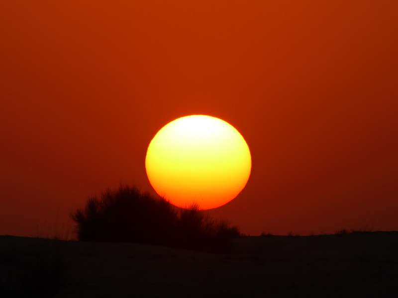   Dubai Sunset Tour Kamele Falken SundownerDubai Sunset Tour Kamele Falken Sundowner