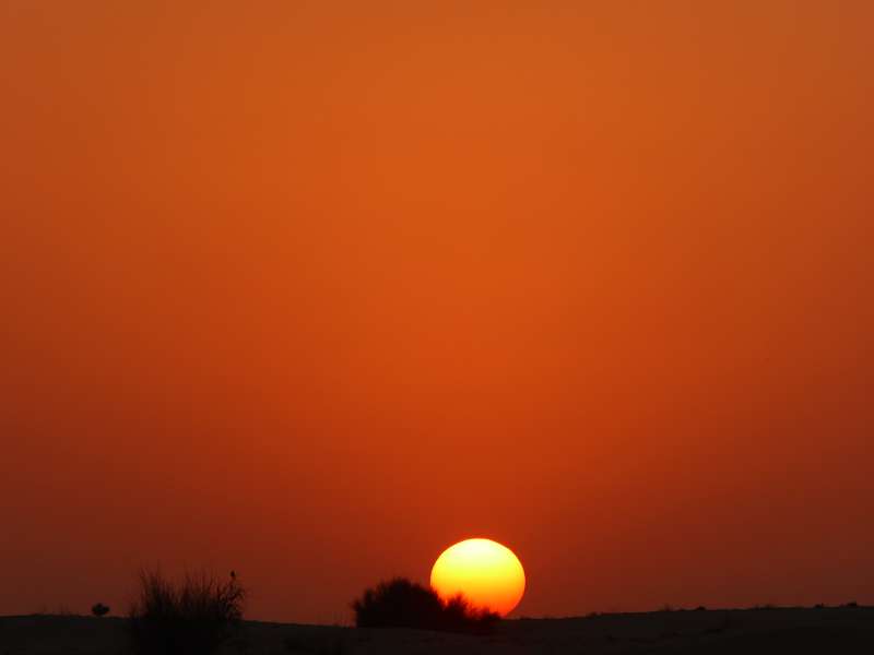   Dubai Sunset Tour Kamele Falken SundownerDubai Sunset Tour Kamele Falken Sundowner