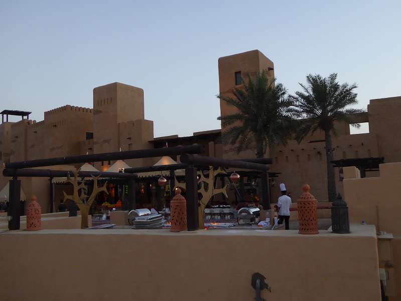   Dubai Sunset Tour Kamele Falken SundownerDubai Sunset Tour Kamele Falken Sundowner