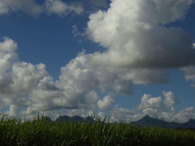 Mauritius Mountain  Le Victoria Beachcomber Hotel Mauritius Mountains 