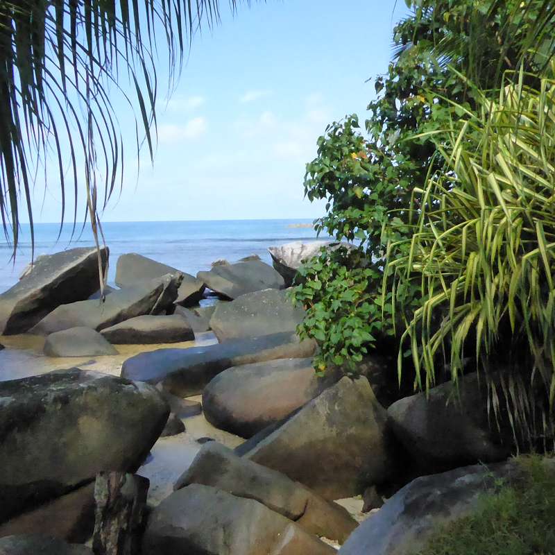 Hilton Northolme Seychelles Bungalowanlagen Garten Tropischergarten